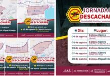 Jornada de Descacharre del 04 al 08 de agosto