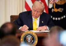 Ordena Trump usar fuerza militar contra cárteles catalogados como terroristas: NYT