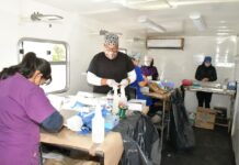 Continúa Gobierno de Hermosillo ofreciendo esterilizaciones gratuitas a caninos y felinos del 24 al 27 de septiembre