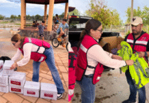 Lleva DIF despensas y útiles escolares al valle de Guaymas.