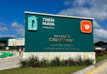 Se ha cumplido con 95% de las medidas de mitigación ordenadas para obras del Tren Maya: CSP