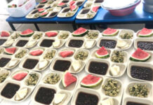 Se intoxican 245 estudiantes en BC con alimentos escolares