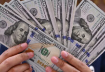 Este es el precio del dólar HOY sábado 25 de octubre de 2025