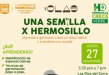 Invita Gobierno de Hermosillo a Taller “Una Semilla X Hermosillo”