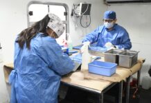 Realiza Ayuntamiento de Hermosillo más de 17 mil esterilizaciones caninas y felinas