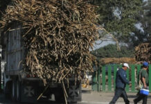 Por protesta, productores de caña bloquean acceso del ingenio El Mante en Tamaulipas