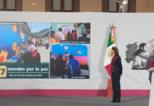 Van más de ocho mil armas canjeadas en jornadas de desarme: Rosa Icela Rodríguez