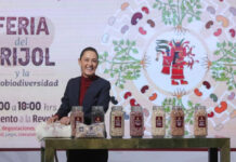 Anuncian primera Feria Nacional del Frijol en Monumento a la Revolución