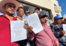 Productores de maíz en Campeche aceptan precio de 6 mil 800 pesos por tonelada