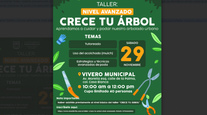 nivelavanzando