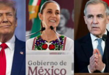 Viaje fortalece de Sheinbaum relación con EU y Canadá: José Medina Mora
