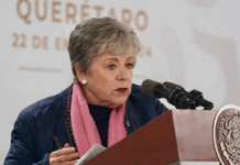 Bárcena presenta en Davos ejes de México para el desarrollo sostenible y transición energética