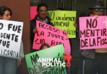 No dan amparo a Ocesa por imputaciónes de homicidio en caso Axe Ceremonia