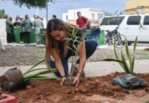 LLEVAN JORNADA DE RECUPERACIÓN DE ESPACIOS AL PARQUE ÁLAMOS
