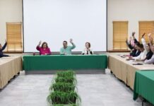APRUEBA CABILDO INTEGRACIÓN DE COMISIONES DEL AYUNTAMIENTO