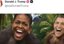 Trump publica y luego borra video de Obama y Michelle como monos; Casa Blanca justifica «meme»