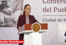 «Más que un plan B», fortalecemos la relación con Canadá; T-MEC se mantiene: Sheinbaum