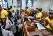 Suspenden el Festival del Habano, encuentro de alcance global