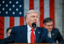Trump se comunica con Sheinbaum tras abatimiento de El Mencho