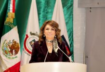 En situaciones de violencia, el tiempo también puede salvar vidas; las órdenes de protección deben emitirse en máximo cuatro horas: Alejandra López Noriega