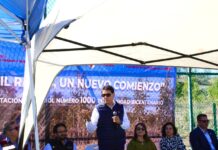 Conmemoran Día de los Bosques con jornada de reforestación