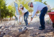 Celebra Toño Astiazarán reconocimiento de Hermosillo como Ciudad Árbol en el Mundo con siembra de guayacanes en el Parque Madero