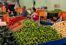 Agroproductos disparan la inflación a 4.63%: Inegi