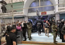Decomisan 25 t de mercancía mundialista pirata