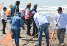 Derrame de hidrocarburo ha afectado más de 630 km de litoral en Veracruz y Tabasco