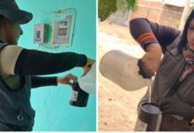 Refuerzan vigilancia del dengue mediante uso de ovitrampas