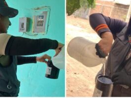 Refuerzan vigilancia del dengue mediante uso de ovitrampas