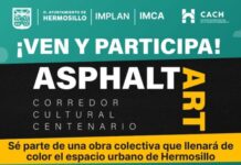 Invita Gobierno de Hermosillo a la ciudadanía a sumarse a obra de arte en asfalto a partir de este viernes