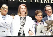 Senado declara constitucional Plan B electoral