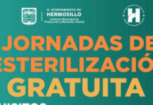 Mantiene agenda abierta Ayuntamiento de Hermosillo para esterilizaciones gratuitas para perros y gatos