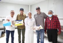 Gobierno de Sonora impulsa comercialización de curvina golfina para fortalecer economía pesquera