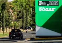 Hacienda pierde 5 mil mdp a la semana por subsidiar combustibles