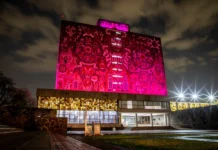 Reforma universitaria ¿para qué?/Hugo Casanova Cardiel