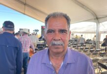 Productores de Navojoa agradecen a Gobernador Durazo y Presidenta Sheinbaum por apoyos para la tecnificación de riego