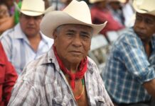 Pueblo Yaqui agradece a Durazo y Sheinbaum: restitución de tierras y comedor escolar marcan un nuevo capítulo en Bahía de Lobos