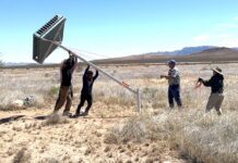 Gobierno de Sonora impulsa conservación de fauna silvestre en pastizales chihuahuenses: UES