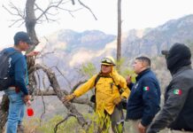 Protección Civil Sonora y autoridades de los tres niveles de gobierno atienden incendio forestal en Álamos