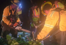 Avanzan labores de auxilio en San Francisco Ixhuatán tras tormenta en Oaxaca