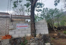 Morelos: clausuran construcciones irregulares alrededor de refugio de murciélago magueyero en El Tepozteco