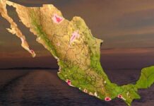 ¡Onda de calor en Sonora!