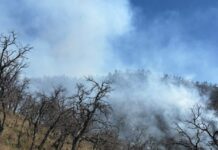 Incansable esfuerzo de más de 100 combatientes forestales en la atención al incendio forestal en Tarachi