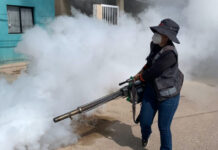 Salud Sonora fortalece la prevención y control del dengue