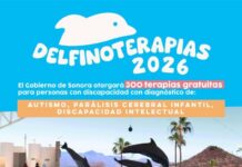 *Abre Gobierno de Sonora convocatoria para Delfinoterapias 2026*
