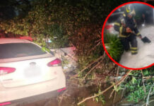 Lluvias intensas provocan deslave, caída de árbol y choques en Cuajimalpa; hay Alerta Púrpura