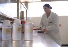 Mantiene Coesprisson vigilancia sanitaria en playas y albercas de Sonora