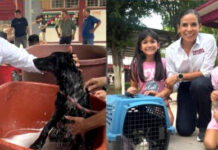 EN CAJEME CADA VEZ SE TIENEN MÁS CONCIENCIA SOBRE EL CUIDADO Y BIENESTAR ANIMAL: ANABEL ACOSTA